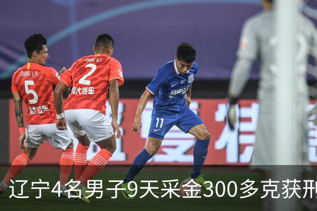 辽宁4名男子9天采金300多克获刑，村里砂土为何能淘金？土法筛金对人体和环境有何危害？