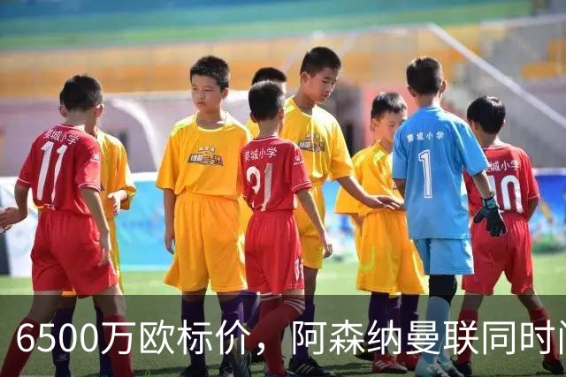 6500万欧标价，阿森纳曼联同时问价伯恩茅斯前锋